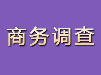 满城商务调查